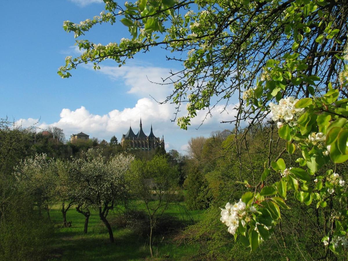 Penzion Art Kutna Hora Bed & Breakfast エクステリア 写真